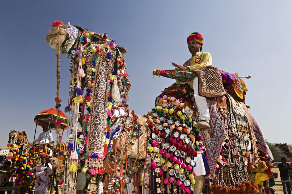 Pushkar Camel Fair 2024